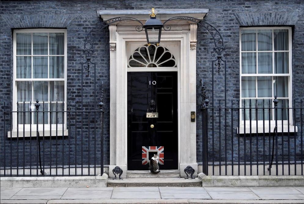 GECPRUK's tweet photo. Why did no-one think of this solution to #Brexit before? @Glamflaps says #LetLarryDecide! https://t.co/Xku7N2km07 @Number10cat @10DowningStreet #GlamflapsVIC https://t.co/uYDWb3ek9e