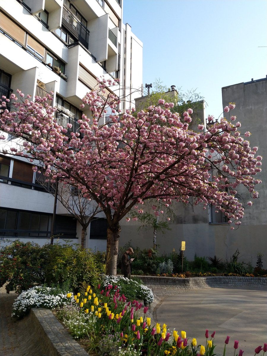 On my way to <a href="/tarides_/">Tarides</a> for my first day there!

Can't wait to work full time on making <a href="/OCamlLang/">OCaml</a> and <a href="/OpenMirage/">MirageOS</a> a better place.

Cherry on top, it's a beautiful spring day in Paris: