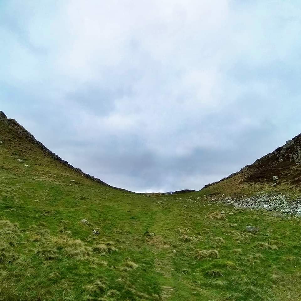 Sycamore Gap.....gone! Knocked down due to old age and disease apparently. Very sad!