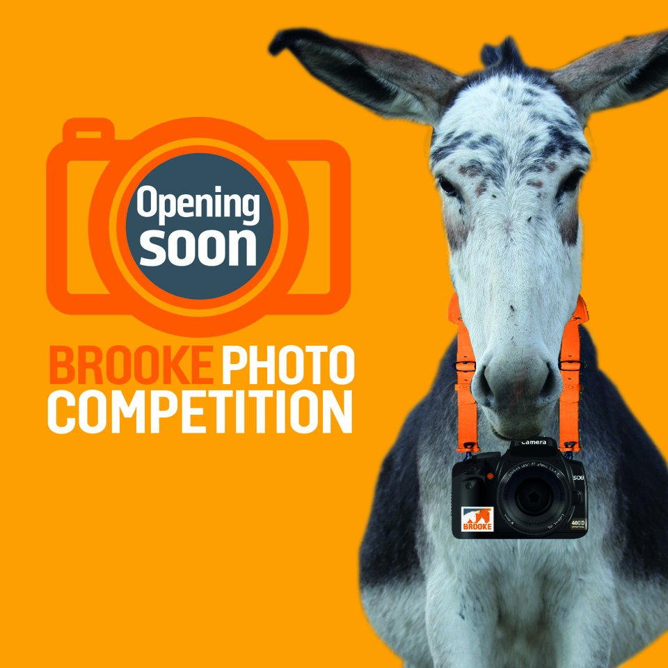 TheBrooke's tweet photo. 1 month to go!...
#PhotoCompetition #BrookeCameraAction https://t.co/NhgU2lpSeY