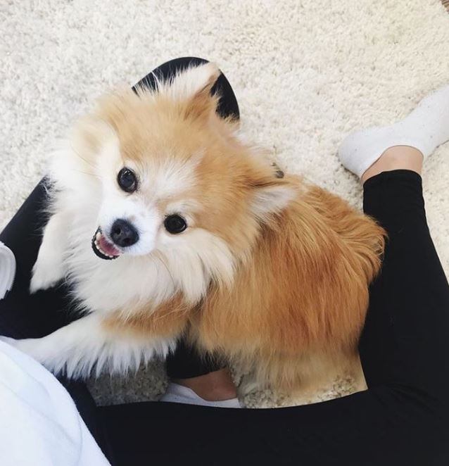 Yay for the #weekend!