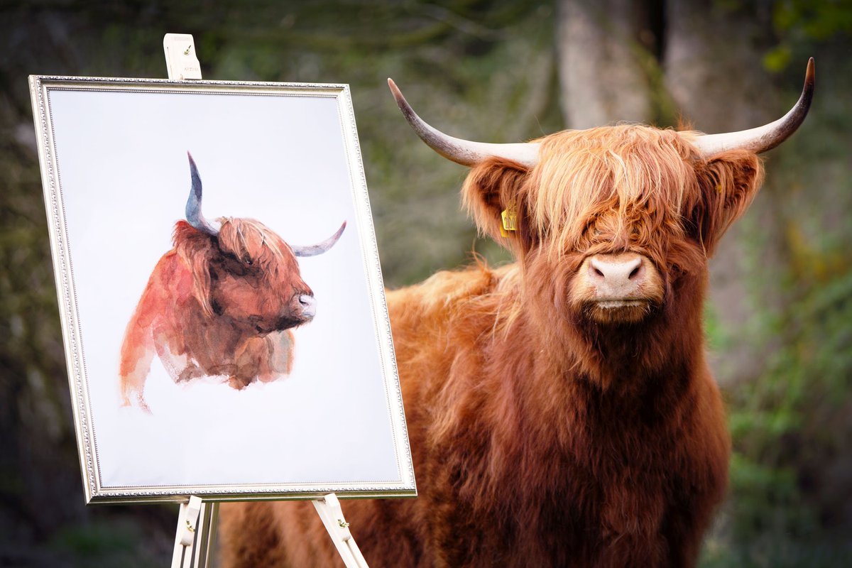 RHASS (@the_rhass) on Twitter photo The countdown is officially on to the 179th <a href="/ScotlandRHShow/">Royal Highland Show</a>!
Here's this year's face of the Show, Skye of Little Rannoch, with her portrait.
Don't miss out - for details and to book tickets visit the site ⬇️
ow.ly/SJi850obCPt The countdown is officially on to the 179th <a href="/ScotlandRHShow/">Royal Highland Show</a>!
Here's this year's face of the Show, Skye of Little Rannoch, with her portrait.
Don't miss out - for details and to book tickets visit the site ⬇️
ow.ly/SJi850obCPt