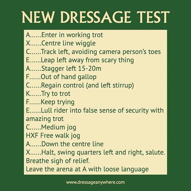 Dressage_comp's tweet photo. Itβs here! The dressage test youβve all been waiting for...for one day only!
.
.
.
#dressage #dressageanywhere #competeonline #onlinedressage #prizes #rosettes #dressagetest #dressagegoals #equine #horses #equestrian #horseworld #worldwide #global #dress⦠https://t.co/445oXXaO8p https://t.co/Y9Ym0PWemI