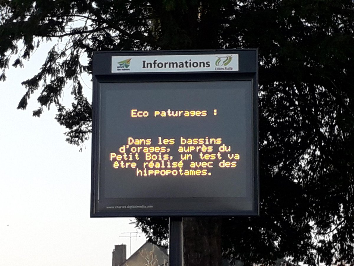 La commune de Loiron-Ruillé est soucieuse de l'entretien de ses espaces publics et de l'environnement. Lancement de l'éco-paturage dans le lotissement du Petit-Bois aujourd'hui.