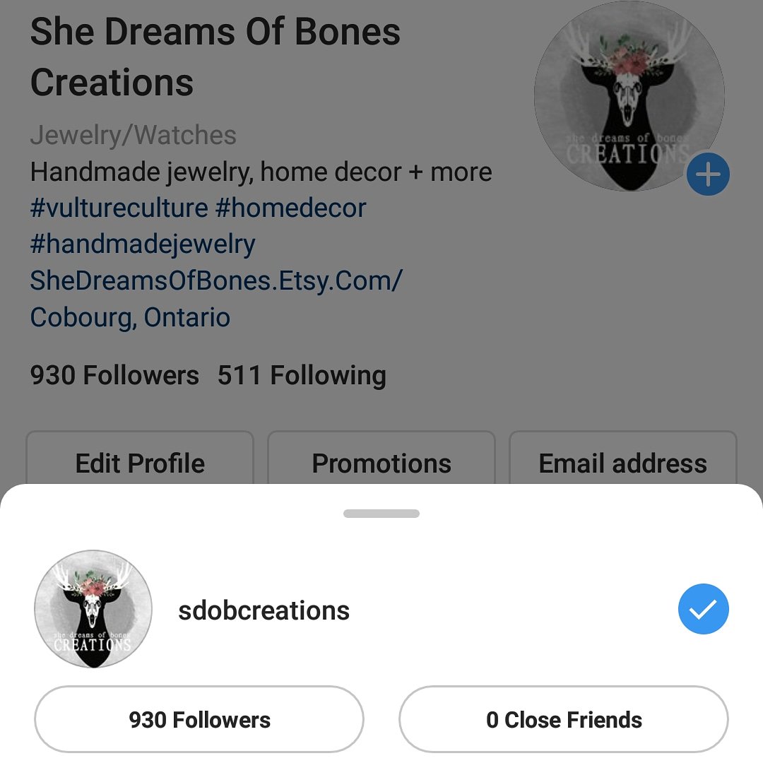 sdobcreations's tweet photo. Do you follow us on Instagram? If not, you should as we will be hosting a speciall 1000 followers giveaway.
See our Instagram for details💀
#vultureculture #naturalcuriosities #prize #worldwide #900followers #1000followers #sdob1kgiveaway https://t.co/9cs0GAEdix