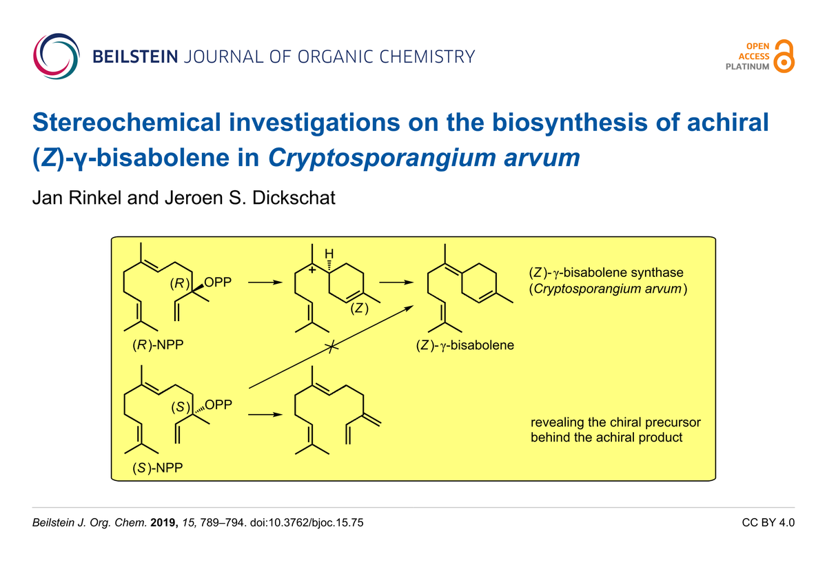 BeilsteinInst's tweet photo. In this letter Jeroen S. Dickschat and Jan Rinkel from @UniBonn report a new #terpene #synthase from Cryptosporangium arvum characterized as a (Z)-γ-bisabolene (5) synthase #biosynthesis #carbocation #chemistry #enzyme mechanisms #BJOC
https://t.co/yrHQNxfx1A https://t.co/3O2CmvUVEY