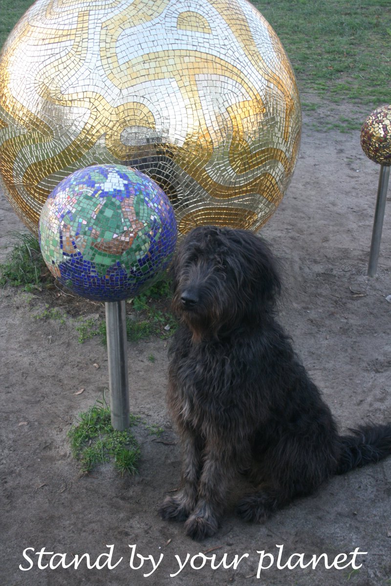 climatedog1's tweet photo. Climate dog says: I do what I can. We have no Planet B! #ClimateStrike #climatechange #ClimateAction #EarthHour2019 #dogs4future https://t.co/2SXCzLQlsk