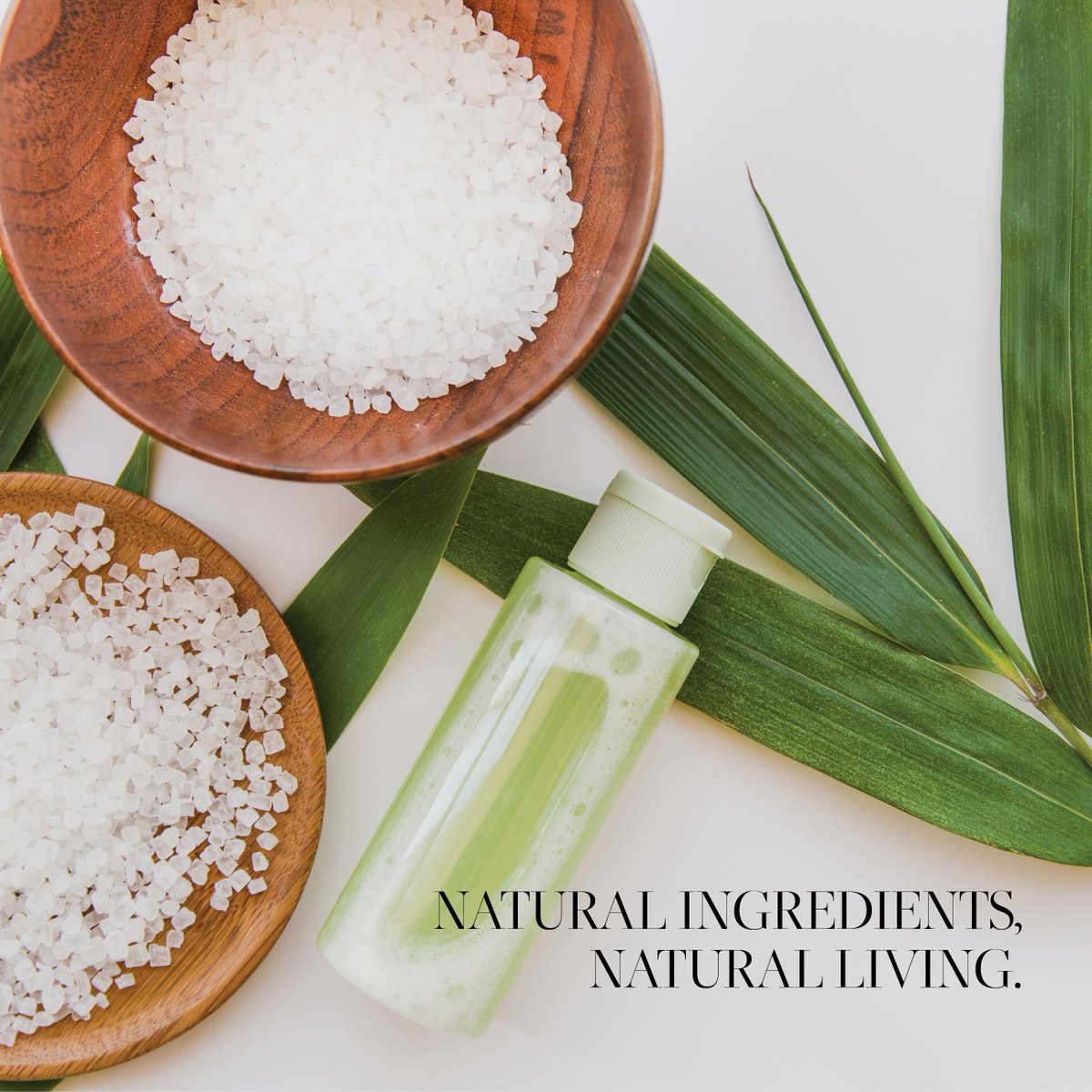 The_Lotus_Spa's tweet photo. Ask us anything you want to know about our treatment menu that offers well-known classic massages as well as unique signature treatment rituals.
E-mail us at info@elgreco.com.gr
#natural #organic #ingredients #treatment #spa
#lotusspa #elgrecoresort #kdhotels #kdgroup #santorini https://t.co/BBrBibFXwH