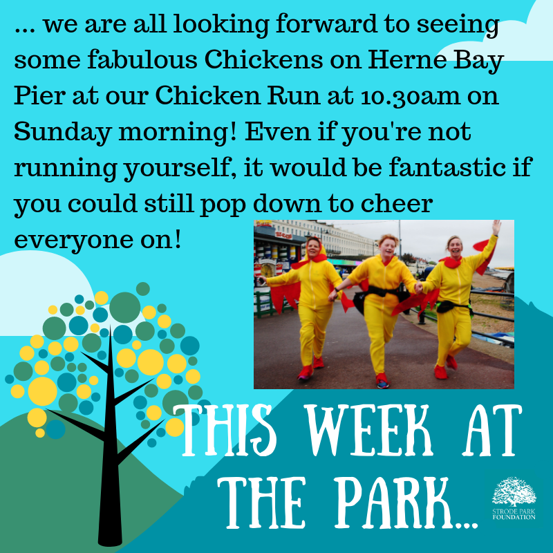Strodepark's tweet photo. #ThisWeekAtThePark #TheChickenRun #ChickenRun #FunRun #Event #SupportingLocalCharity #TeamStrodePark #EveryDayIsDifferent #StrodeParkFoundation #HerneBay #Kent https://t.co/KQvxRJV4DE https://t.co/yaRxpGgSjN
