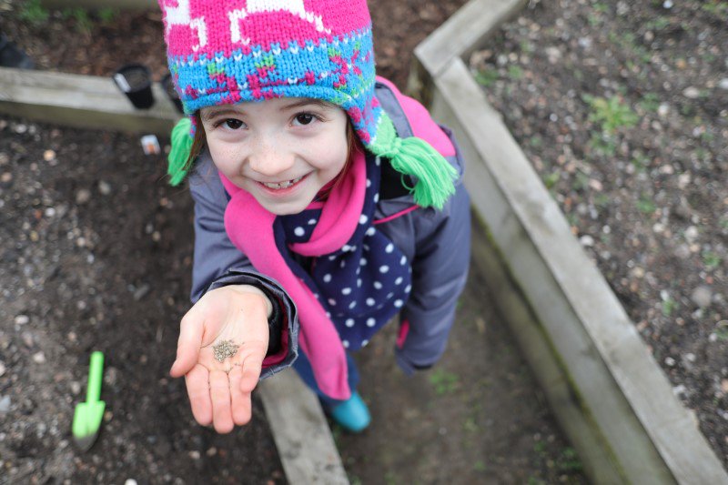 Pukkaherbs's tweet photo. Growing helps children reconnect with where their food comes from. As part of @SoilAssociation #KnowYourOrganicRoots campaign we are helping children across the country grow their own herbs at school in their @vegtrugs https://t.co/XIqA6wPbit #GrandparentGardeningWeek https://t.co/t3saQltpXg