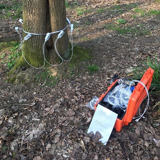 GreenwoodEnv's tweet photo. Excited to be picking up and testing our new tool (toy), to help us assess the internal condition of trees for advanced assessments using sound ๐ ๐งก
โข
โข
#trees #treeinspection #treesurvey #arboriculture #treesafety #decay #arbotom #rinntech #woodland โฆ https://t.co/wzEyyY4PZC https://t.co/w72onRW0Co