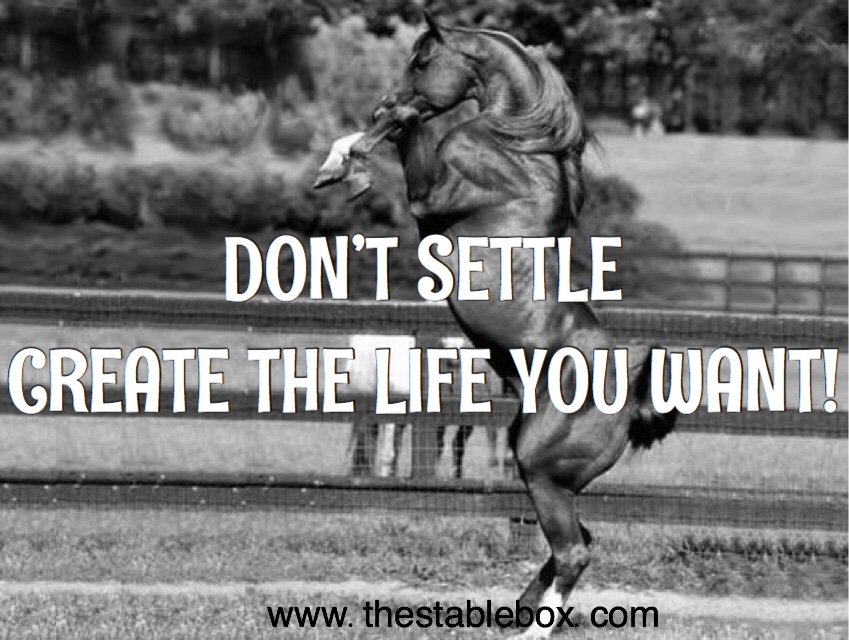 TheStableBox tweet media