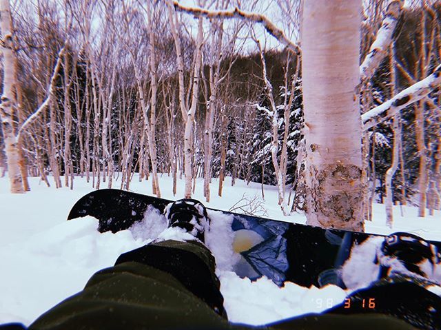 RYUICHI_KABETA's tweet photo. シーズンも残り少し🌸
#snowboard #snowboarding #スノーボード #スノボー #devgru #dvgr #travel #トラベル #旅行 #旅 #snowboard #snowboarding #snowboarder #スノーボード #スノボー #スノーボーダー #プロスノーボーダー #skate #skateboard #skateboarding #スケートボード #スケボー https://t.co/NIRBRnxeEo