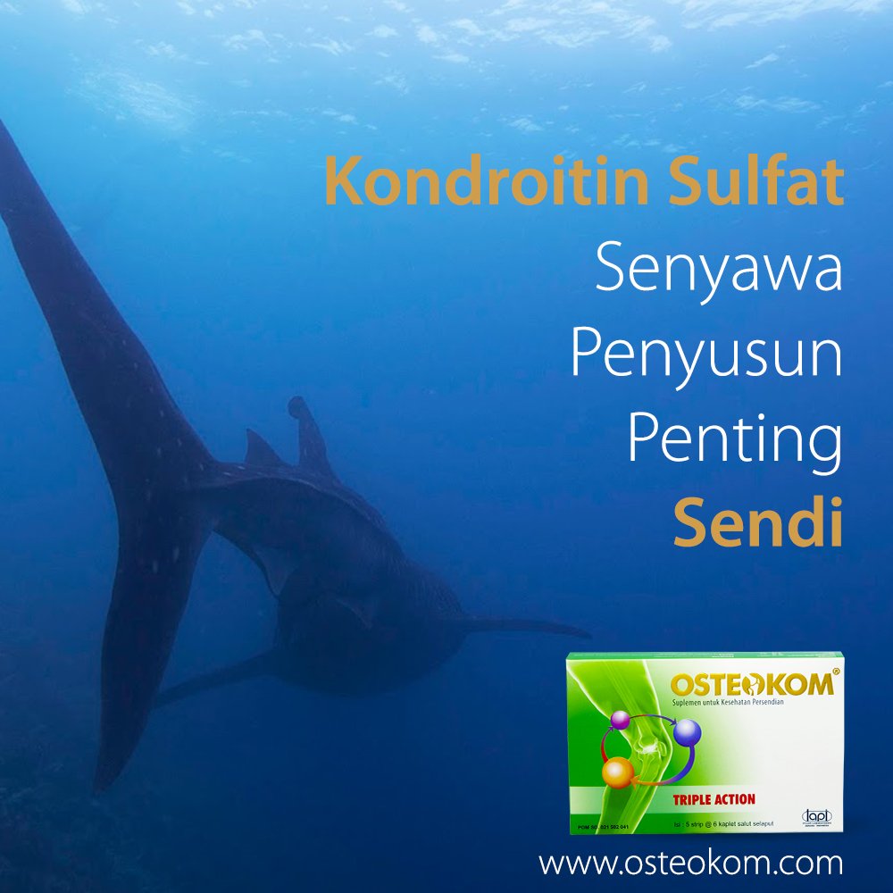 Osteokom_Lapi's tweet photo. Hi sahabat Osteokom! Kondroitin SO4 adalah senyawa penyusun penting tulang rawan dan memberi tulang rawan kemampuan untuk bertahan terhadap tekanan/kompresi. Nah kondroitin sulfat dalam Osteokom berasal dari tulang rawan ikan besar lho :D
#CegahNyeriSendi #Osteokom #TripleAction https://t.co/YGJ5WrIqoQ