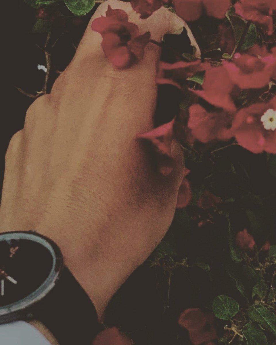 k (@k40843424) on Twitter photo 