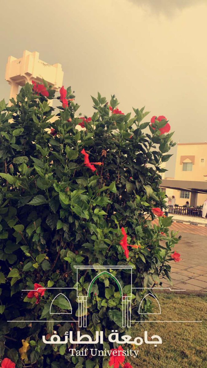 #كذبه_ابريل