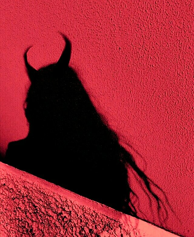 625Aesthetic's tweet photo. Spooky Facts!💀 https://t.co/FAHDOmCwwq