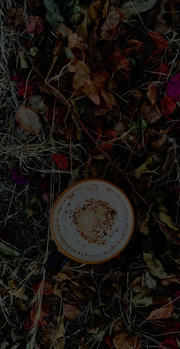 k (@k40843424) on Twitter photo 