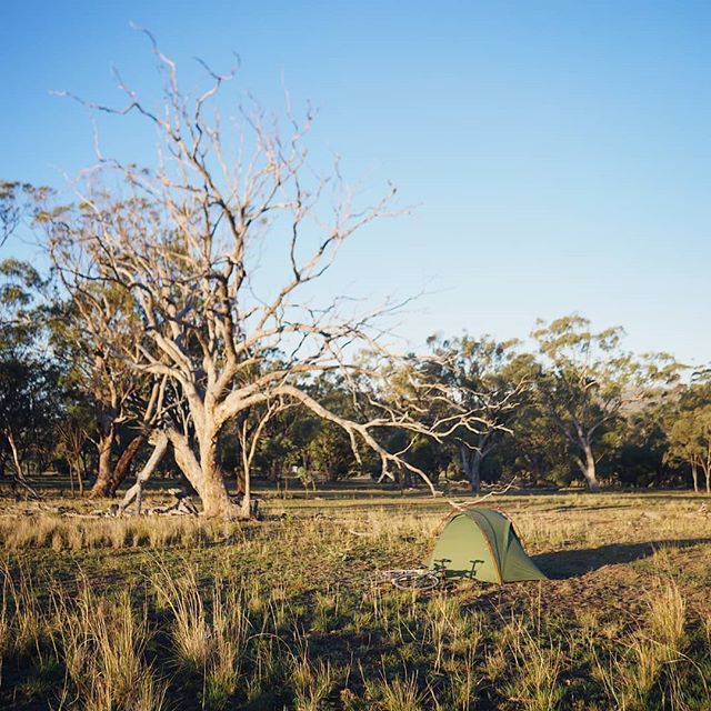 tyronomads's tweet photo. Wildcamping in kangaroo land! You can't see them, but I swear they just ran away. Australia is hard! The sun is hitting hard, the wind is strong, the hills are very present, but at least I have wonderful views :) 🐨

#bikepacking #bikewonder #bicyclet… https://t.co/ZlhdqrFrAt https://t.co/weYADci351