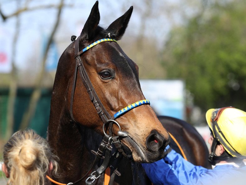 BBAG_Sales's tweet photo. @BBAG_Sales graduate #NACIDA (F) wins Listed at @KRV1897
Concrats to all connections
Read more https://t.co/REkFQs6D8B https://t.co/kLH5zyQdGj
