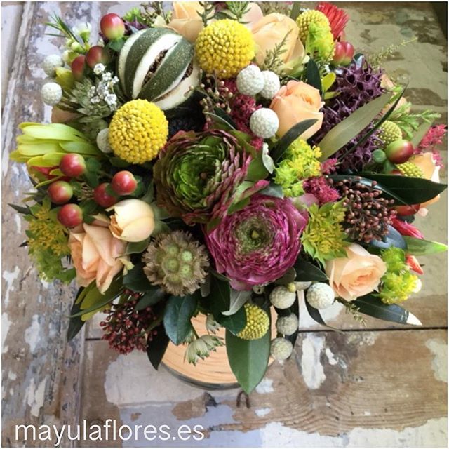 mayulaflores's tweet photo. Alba 💐👰🏻
.
.
.
.
#mayula #mayulaflores #weddingbouquet #bridalbouquet #ramodenovia #bridebouquet https://t.co/fT99ytJWgF https://t.co/c9L7krizAh