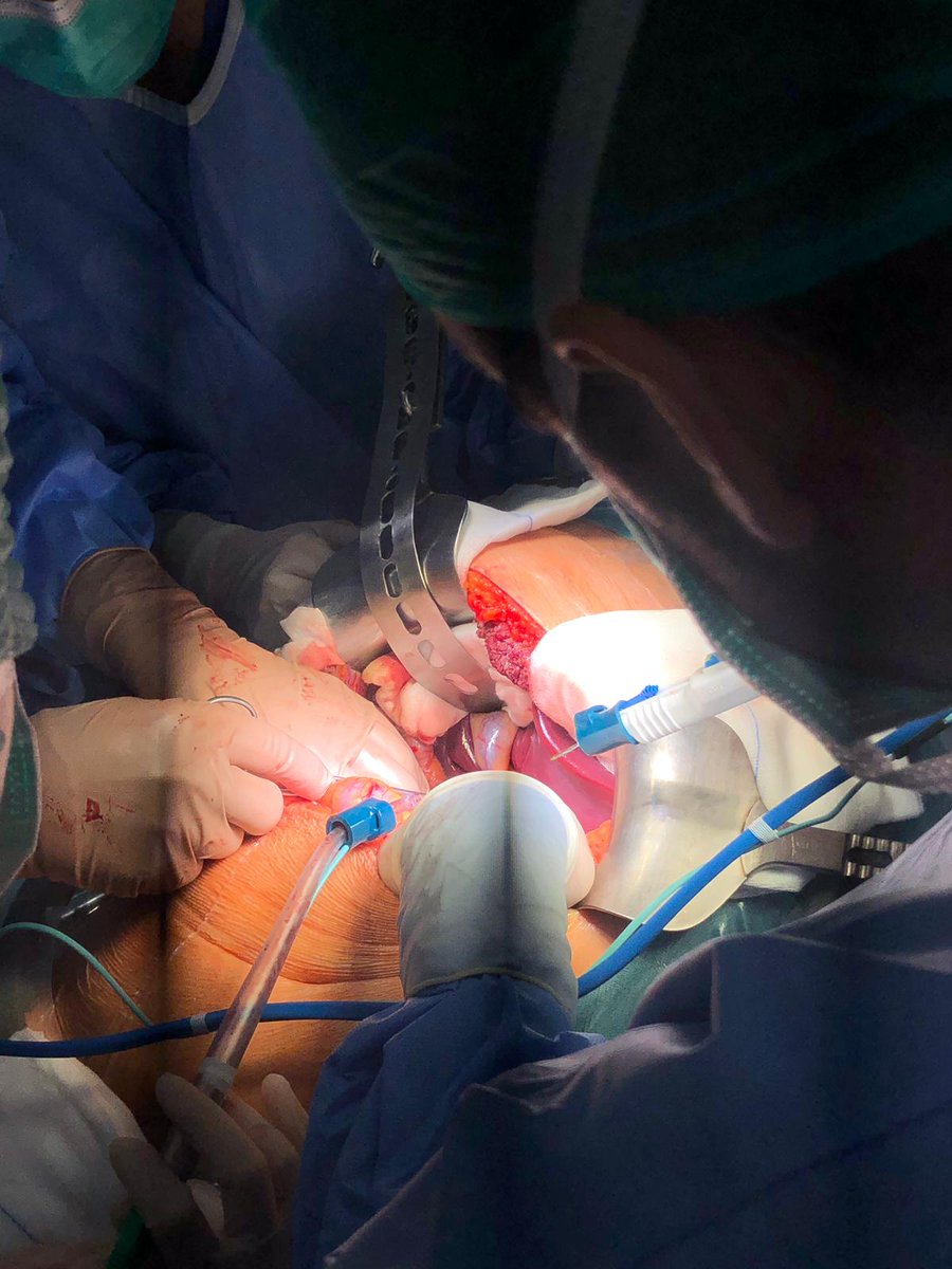 RUTILIGHT tweet media