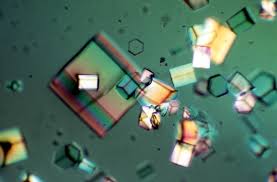 crystallograp4u's tweet photo. For details About Crystallography 2019:(link: https://t.co/gGCBnydtXw) 
Book your slots soon before its late..!
Enroll now to attend the sessions on #crystallography #spectroscopy #catalysis #MaterialsChemistry 

Mail us at crystallography.euroscicon@pm.me https://t.co/mCuVNKF3aJ