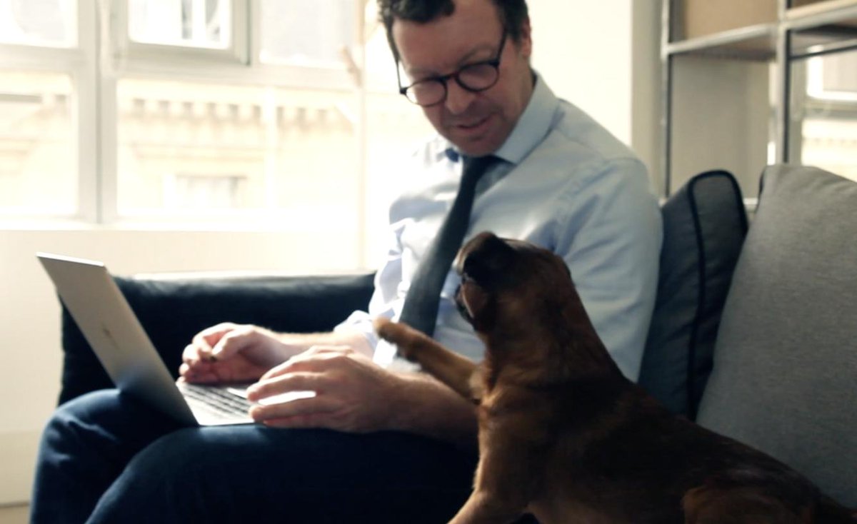 tgs_network's tweet photo. @TGS_Global at the forefront of AI (Animal Intelligence) research for increasing efficiency in auditing and accounting. We have it, we use it. Doggotic Accounting. #doggoticaccounting #auditdog #tgsglobal https://t.co/Fs3XgufTAW https://t.co/DL2tmPDkxb