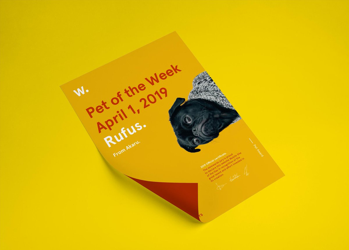 awwwards's tweet photo. πΎ Massive Congratulations to Rufus from @Akaru_studio (France) for winning our new award - Pet of the Week, recognition and prestige for the animals that inspire the best creative agencies https://t.co/7ArlOQCRz7 #Cutability #POTY #AgencyDogs #WhosAGoodBoy https://t.co/l2cciWaOC9