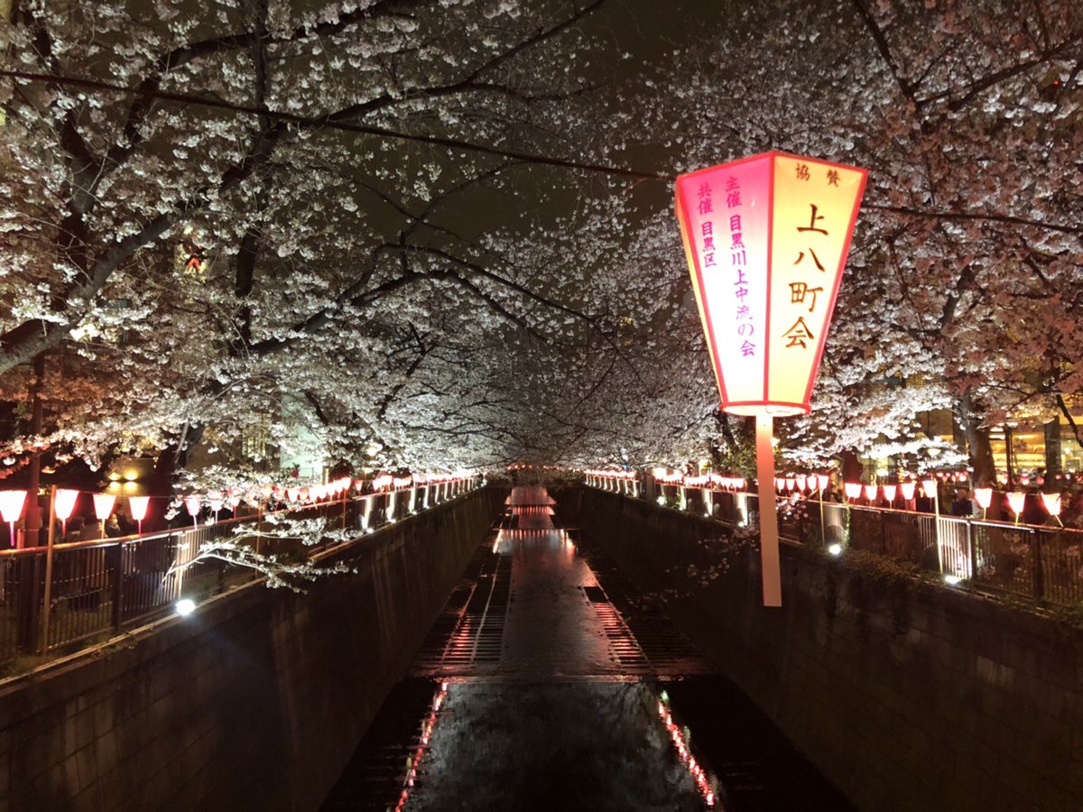 RenderBox_ink's tweet photo. 先週末は花見&amp;月末の打ち上げ！
今年はスタバも出来て、人人人人。まぁ大変。続きは中目黒ひつじへ。いつもは昼だけど、夜のジンギスカンも最高ー！！久しぶりにビリヤードまでしちゃってw盛り上がったな！！ https://t.co/NrYJKmWYTp