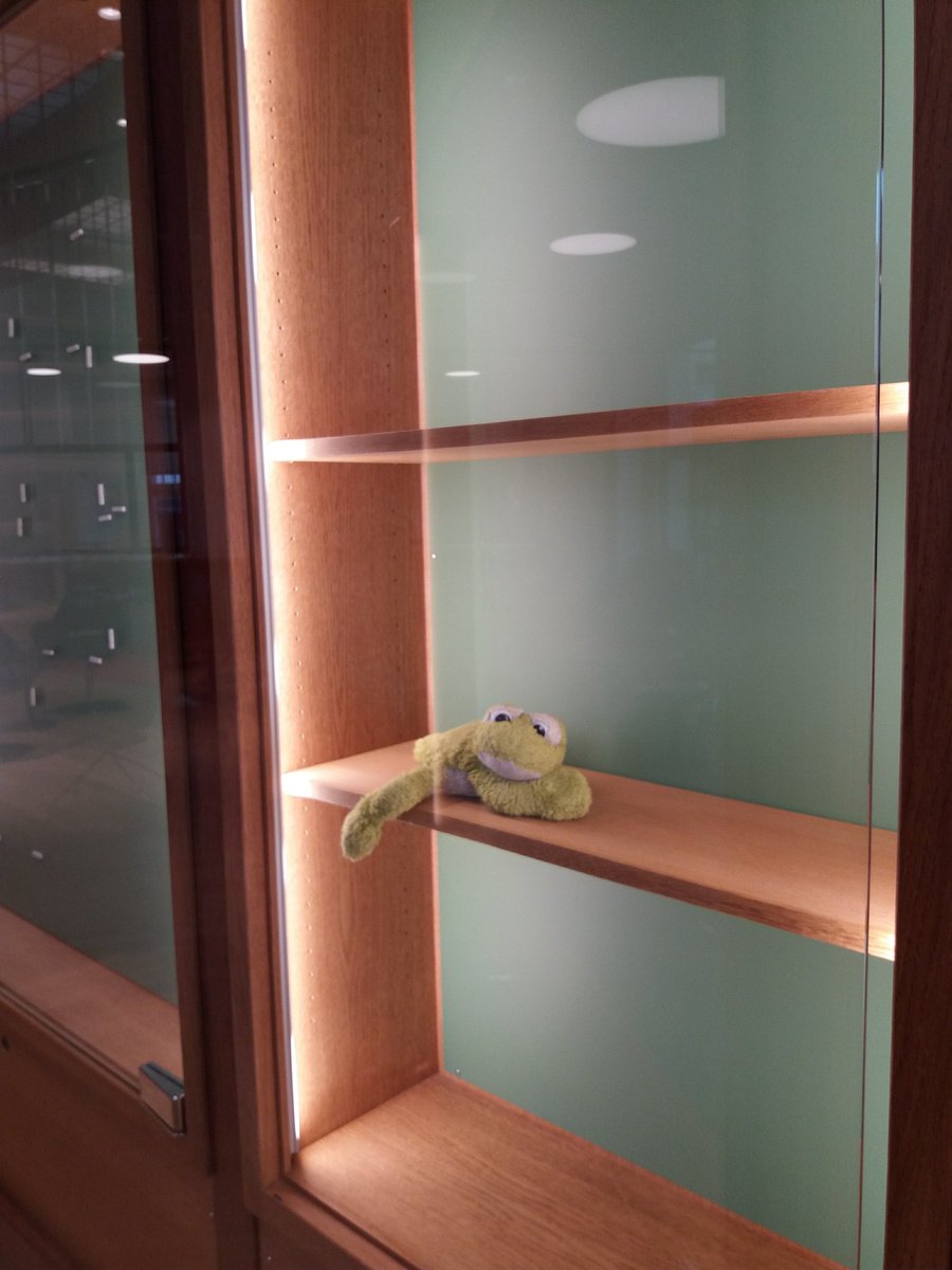 bibhistorique's tweet photo. Dans les vitrines vidées de nos plus belles acquisitions 2018, on peut faire quelques longueurs à la nage ou lire au calme... quand on est une grenouille.
Bientôt il faudra laisser à la place à l'expo Maigret s'amuse ! #BHVP #croacroa https://t.co/FKvrI92T5N