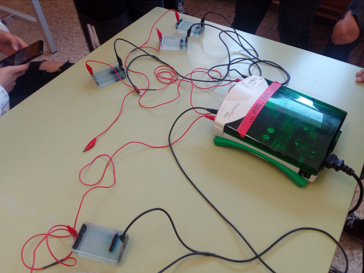 BisbeSivilla's tweet photo. Els biòlegs de 1BAT han realitzat una pràctica per saber qui ha estat l'assassí, a partir de mostres d'ADN de 3 sospitosos. #electroforesi. El material l'ha cedit pel Centre de Regulació Genòmica de Bcn.
@dailylabjournal
#institut #bisbesivilla #calella #somlinstitutdecalella 🕵️♀️ https://t.co/93j6HrLlof