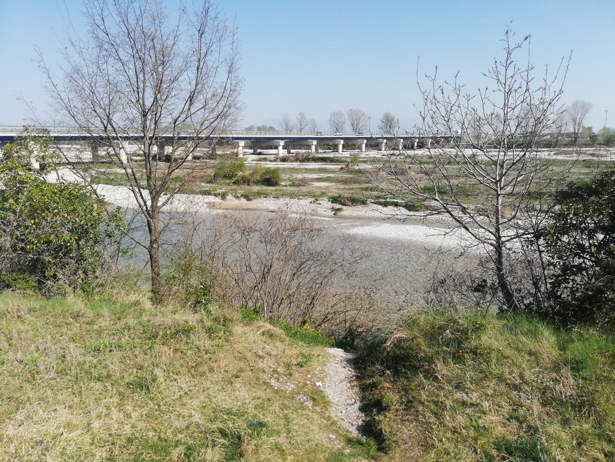 TgrRaiVeneto's tweet photo. #1aprile #siccità A #Maserada #Treviso il Piave ha una portata di 4/5 metri cubi al secondo, come in estate. Ma in questo periodo dovrebbe essere dieci volte tanto. Molto preoccupati gli agricoltori. Alle 14 nel #Tg del Veneto. Foto di Rossana Caviglioli
#IoSeguoTgr @TgrRai https://t.co/Jg12nriTST