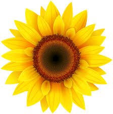 StarsChildCare's tweet photo. Week 1 – ‘Planting and Growing’ 

In the first week of #April we will be looking at different types of plants and the cycle of growth. The #children will be planting their own cress heads and will take part in a #sunflowerchallenge, to see who can grow the biggest #sunflower. https://t.co/ojO4sg9Ec6