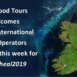 Photo by IrishFoodTours.ie (@IrishFoodTour)