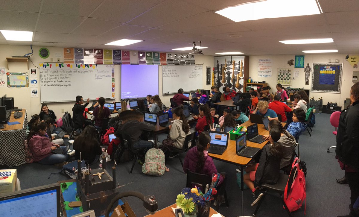 Lyn Domsten tweet media