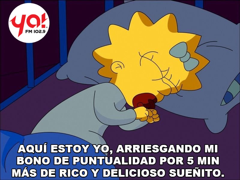 yafmveracruz's tweet photo. #5minmas #FelizLunes #Soyelfuturodemexico y me la juego por unos min más.
#morningshow #SolyFallo https://t.co/CHKfwfgkPY