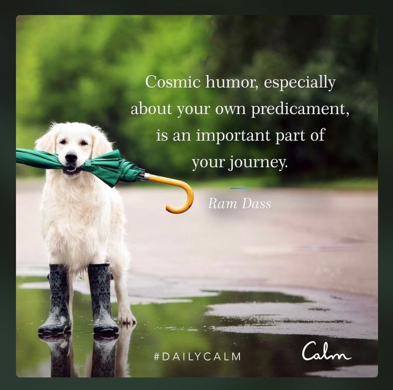 BassKarma's tweet photo. Happy April Fools Day! Remember: “Cosmic humor, especially about your own predicament, is an important part of your journey.” #RamDass #DailyCalm https://t.co/OeZXRAglfa