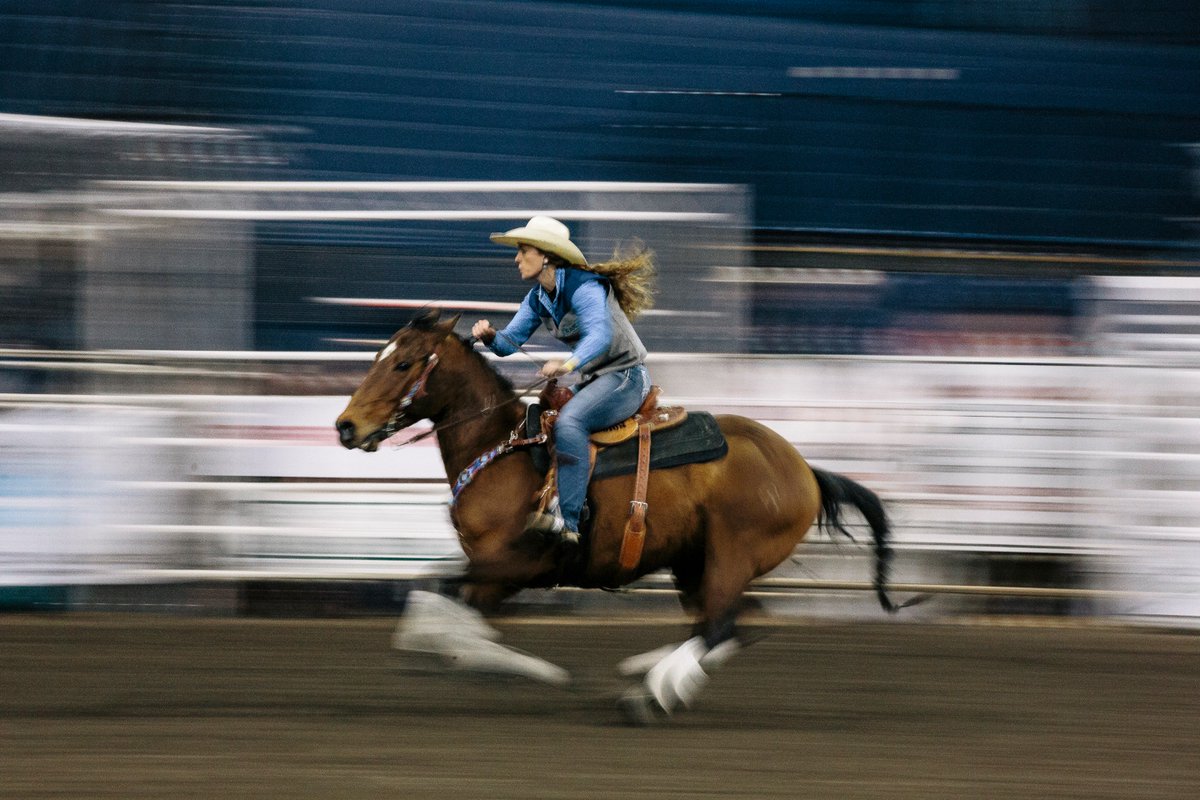 montanastate's tweet image. The #MontanaState Spring Rodeo will run Thursday, April 11 - Sunday, April 14, at the @BrickBreeden. The four-day rodeo will feature the men’s and women’s Bobcat Rodeo teams competing against nine other regional teams.

montana.edu/news/18559/msu…