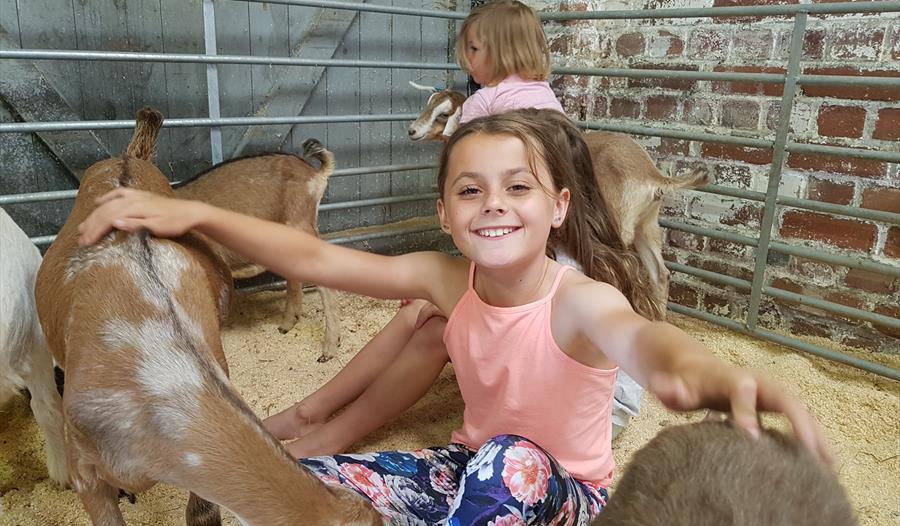 Fancy yoga with a difference?

Head to <a href="/DartingtonDairy/">Dartington Dairy</a> on the 13th of April for #GoatYoga with <a href="/SimplySoulfulUK/">Simply Soulful Yoga</a>!

There's an adult and family session.

Find out more: bit.ly/goatyogadart

#Yoga #SouthDevon #Dartington #WhatsOn