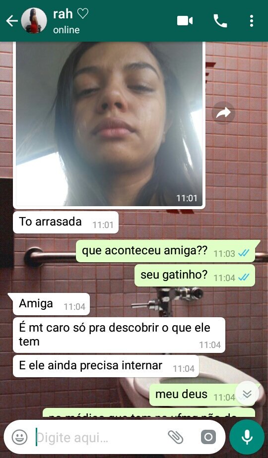 taeggukmoon's tweet image. ME AJUDEM AQUI!!!
O gatinho da minha amiga está doente e ela não tem condições de arcar com os exames e o tratamento que ele precisa. Gente, por favor qualquer quantia é bem vinda e se não puder, ajuda com o rt