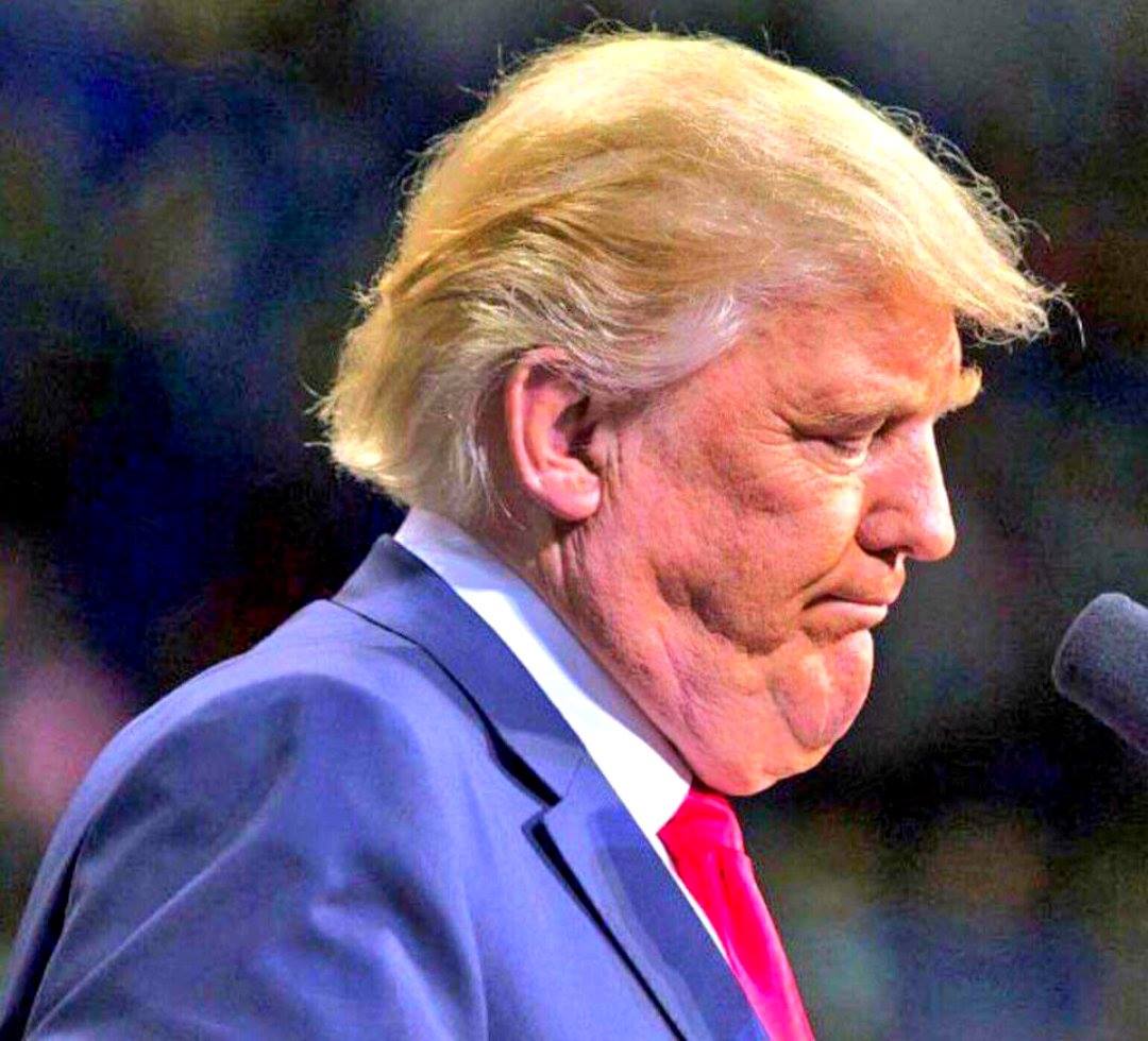 This moron called Adam Schiff a "pencil neck."
What the bloody hell do you call this? "Gluteus maximus neck," the indicia of which affliction is a cranium full of shit?