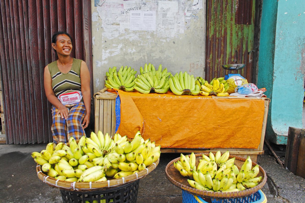 International Fund for Agricultural Development tweet media