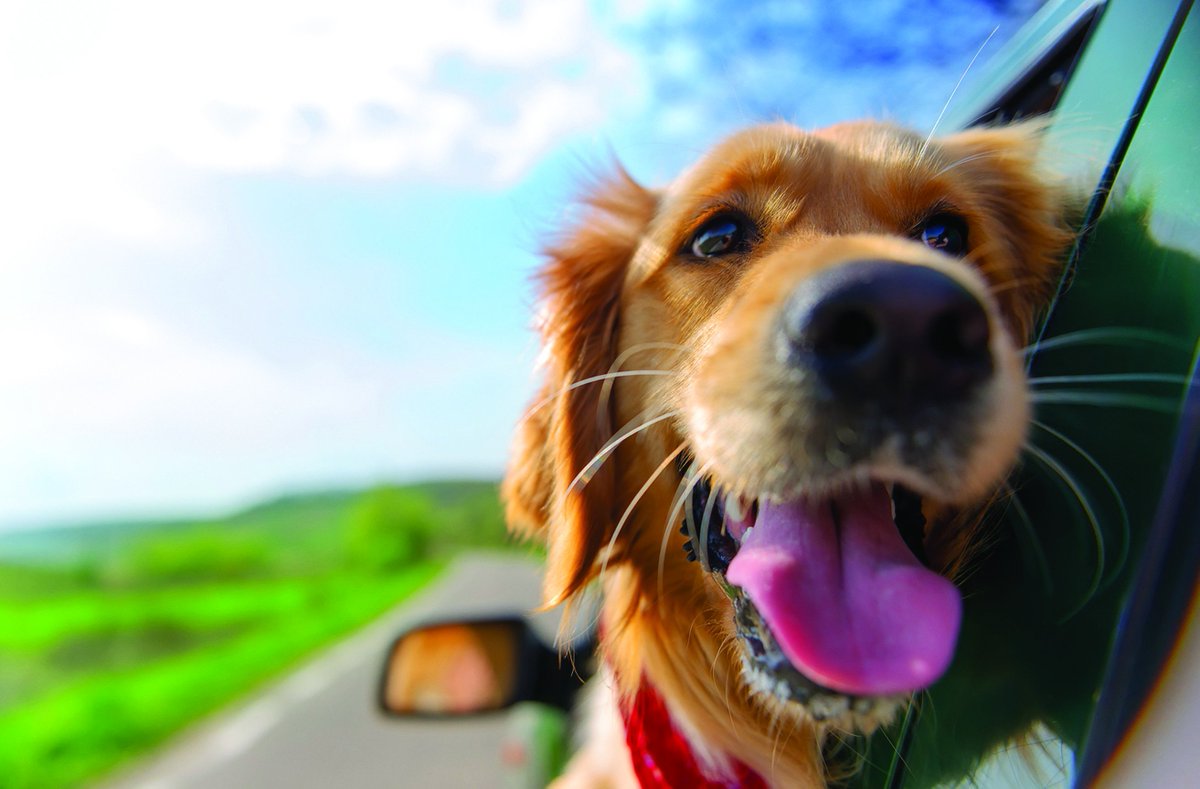 No fooling! Check out our Spring Special and get your European vehicle road trip ready. #indy #luxury #autorepair See details and schedule your appointment here>> hubs.ly/H0hdqKH0
