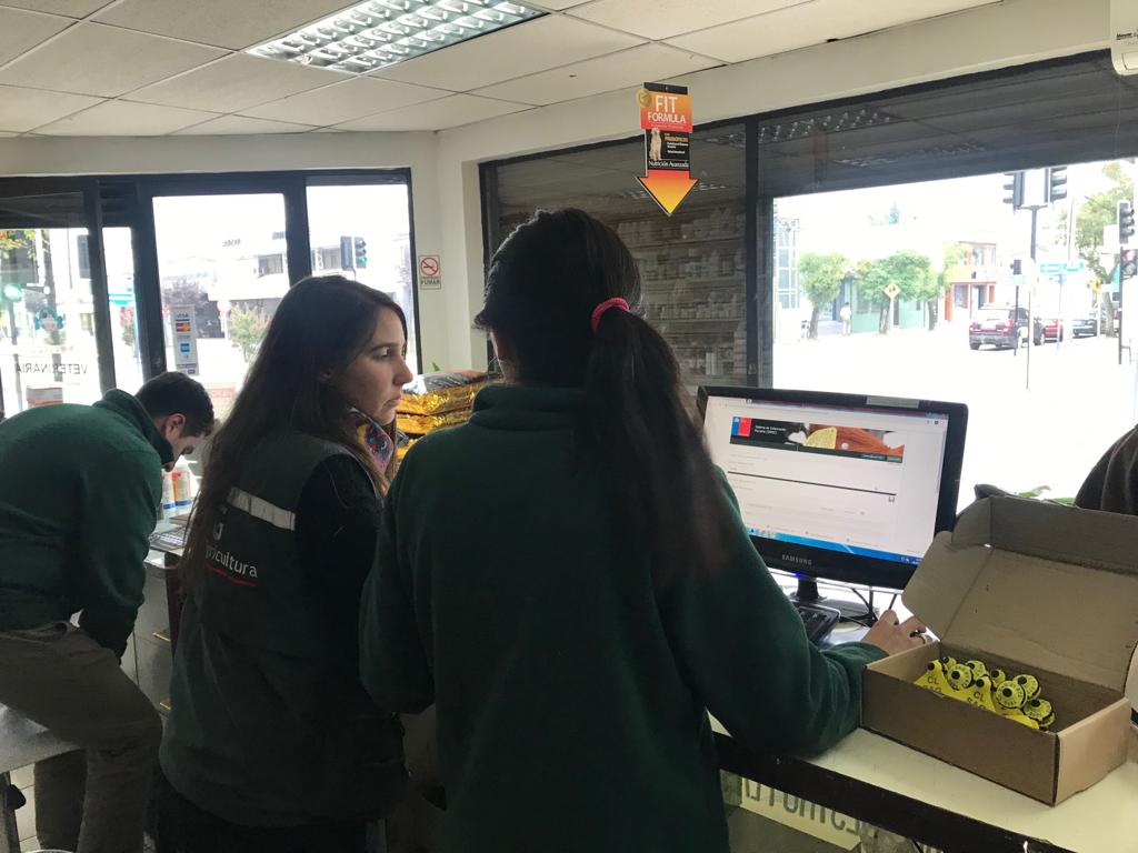 sagchile's tweet photo. Para asegurar la correcta distribución y venta de Dispositivos de Identificación Individual Oficial, #DIIO, @sagchile realiza fiscalización en #Chillán #Ñuble para verificar el cumplimiento de la normativa legal vigente. #ChileLoHacemosTodos https://t.co/TMWlmloKih