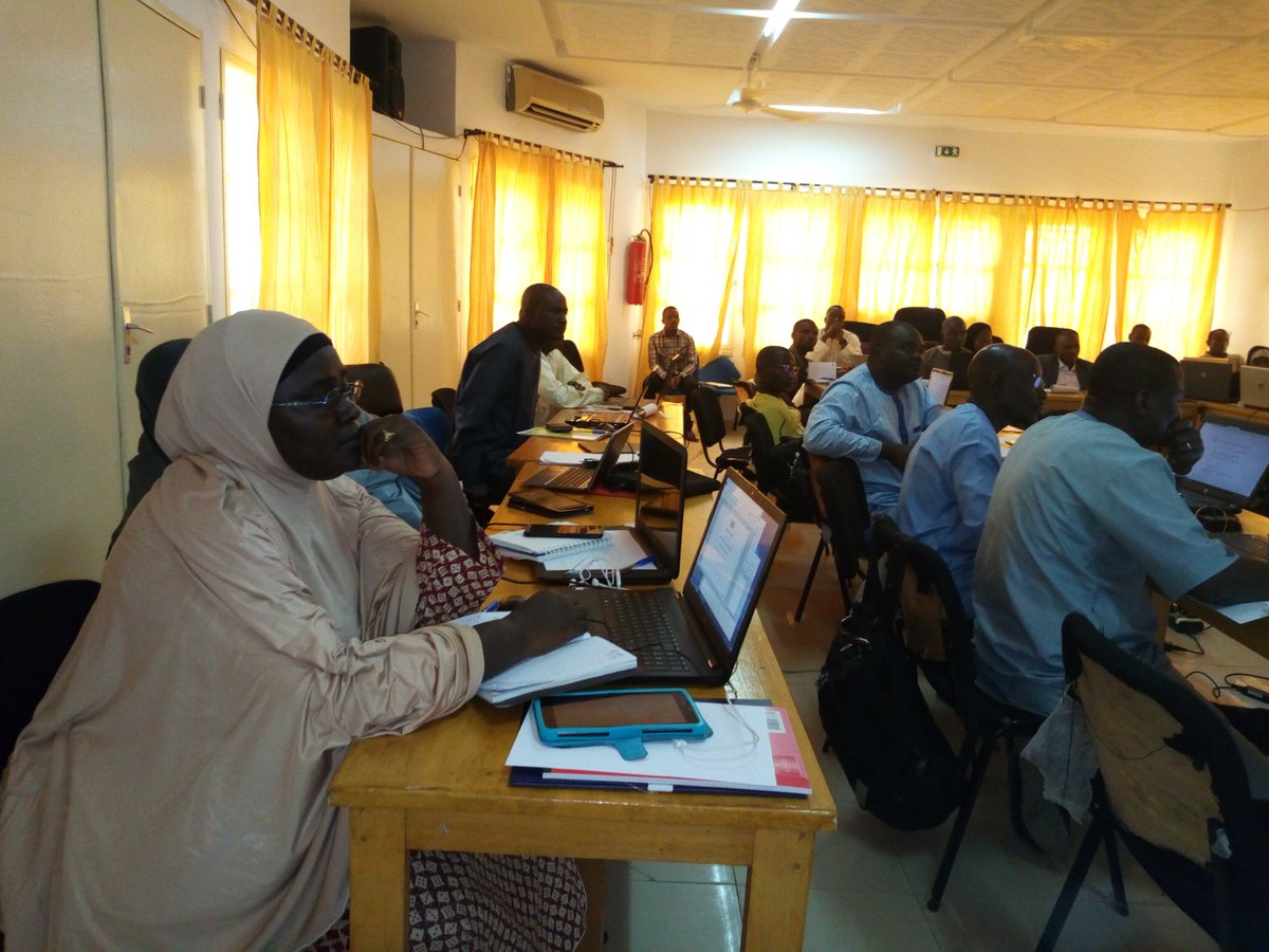 INS NIGER tweet media