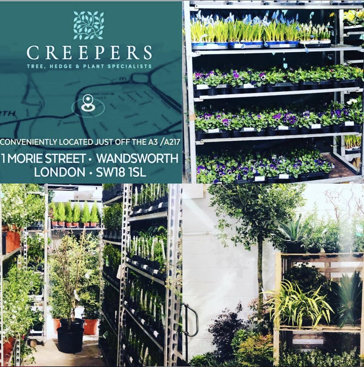 Our #Wandsworth team are pleased to announce....

4,000 sq.ft. #Industrial space in SW18 let to @CreepersKT15 
Space looks great - wishing you all the best in your new #commercial premises.
🌳🌸🌲🌺

 #Mondaymotivation #workspace #tenant #newtenant #wholesale #workgoals✔️ #SW18