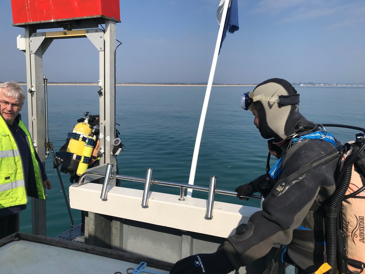 Dr Alice Hall tweet media