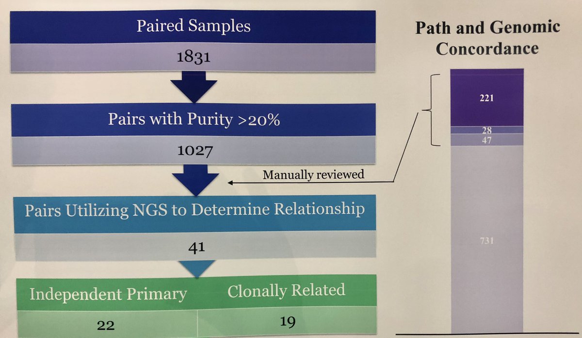 David Hyman (@dhymanmd) on Twitter photo Great work led by <a href="/AliSchram/">Alison Schram</a> mentored by <a href="/BarryTaylorLab/">Barry S. Taylor</a> on novel use of routine NGS #MSKIMPACT to differentiate between independent primary cancers vs recurrent/metastatic disease where path alone cannot - alters treatment decisions. @sloan_kettering #AACR19 Great work led by <a href="/AliSchram/">Alison Schram</a> mentored by <a href="/BarryTaylorLab/">Barry S. Taylor</a> on novel use of routine NGS #MSKIMPACT to differentiate between independent primary cancers vs recurrent/metastatic disease where path alone cannot - alters treatment decisions. @sloan_kettering #AACR19