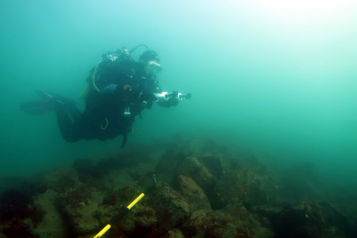 Dr Alice Hall tweet media